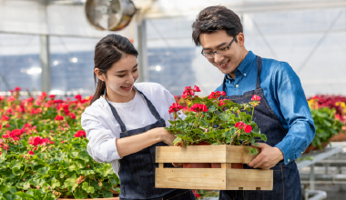 盈滿世代儲蓄保險計劃（傳承版）